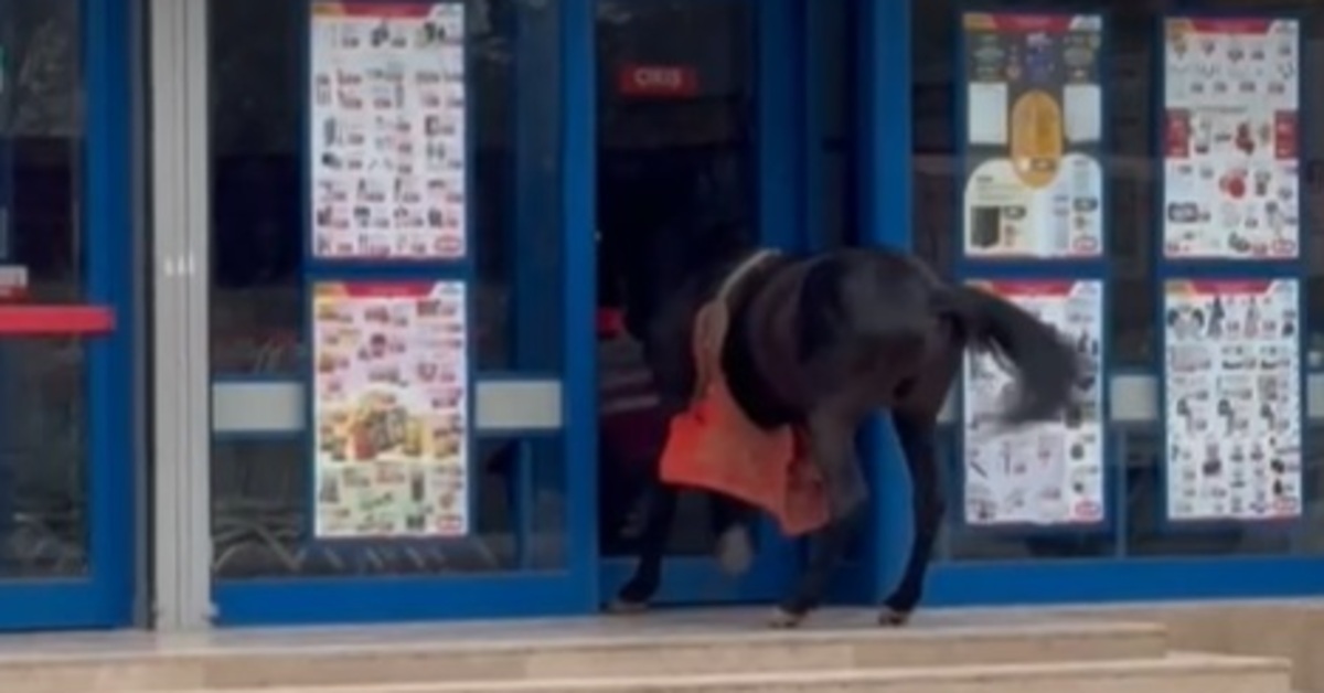 Adana’da ilginç görüntü! Atını markete bağladı