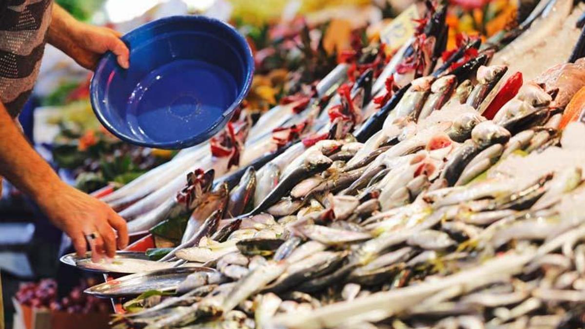 Yediğiniz balıklara dikkat: “Vitamin yerine kanserojen madde alabilirsiniz”