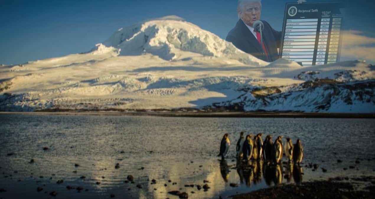 Adada insan yaşamıyor: Trump, penguenlerden yüzde 10 vergi istiyor